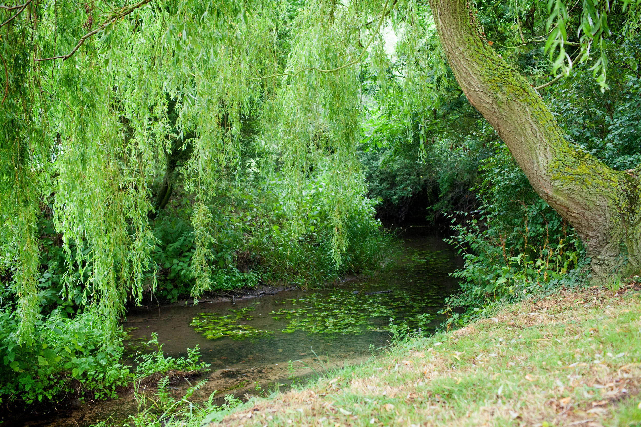 002_2013_mill 121.jpg