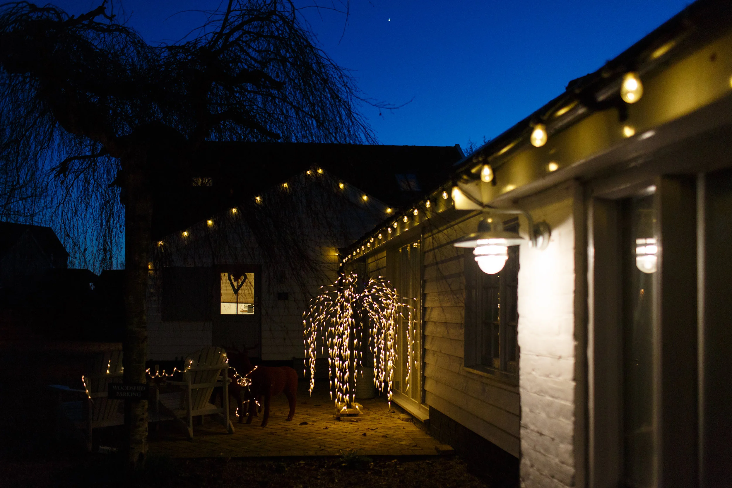 xmas_2016 020.jpg
