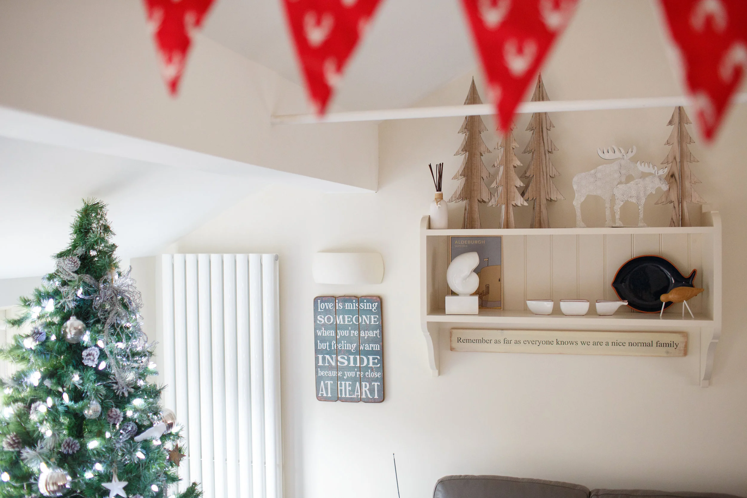 xmas_2016 039.jpg