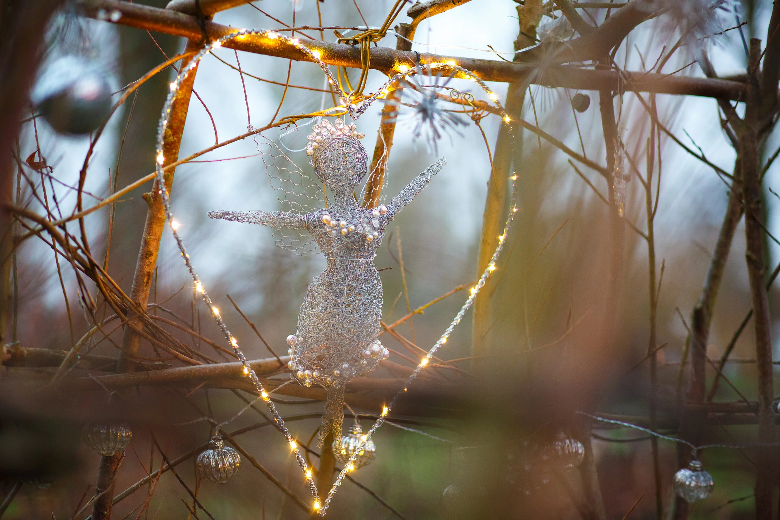 xmas_2016 099.jpg