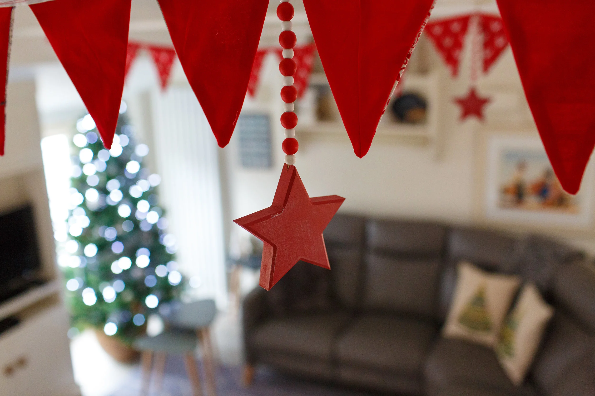 xmas_2016 031.jpg