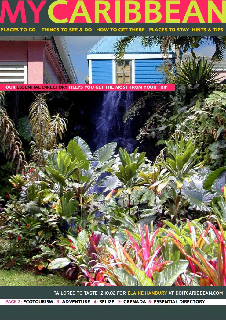 Personalised Caribbean Vacation Planner delivered in the customers own language, with content tailored to their destination and activity preferences and with local travel agency contacts in their origin country.