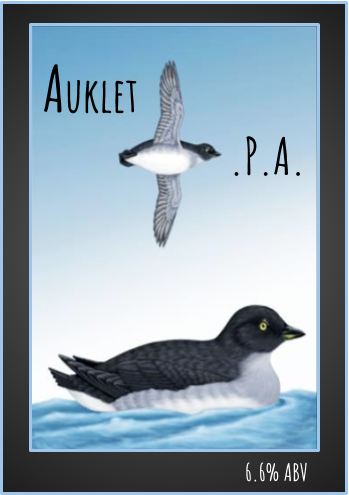 auklet.png