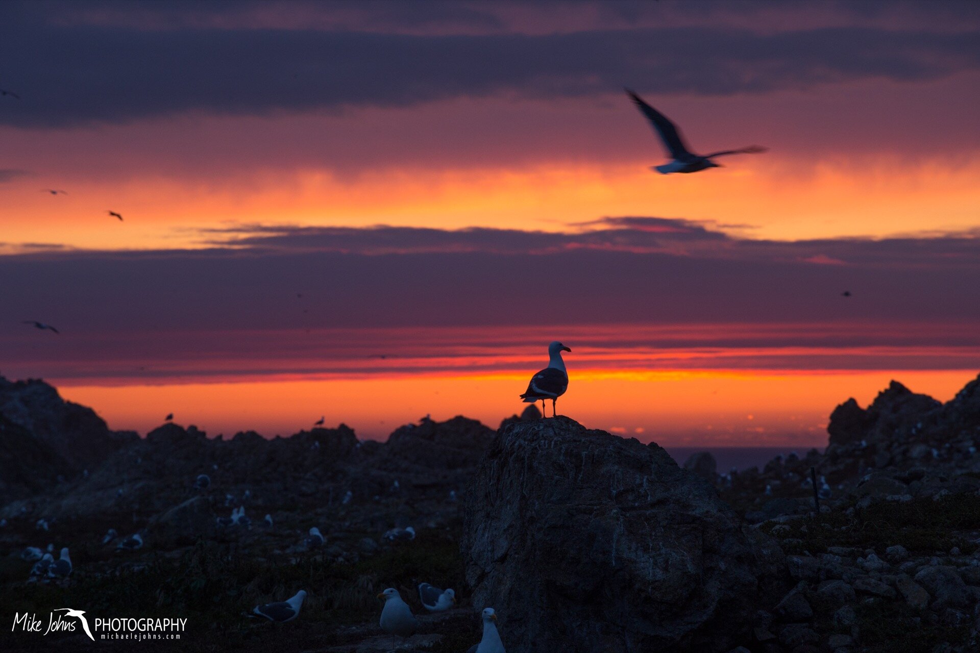  Some of the best sunsets can be found on the Farallones.  