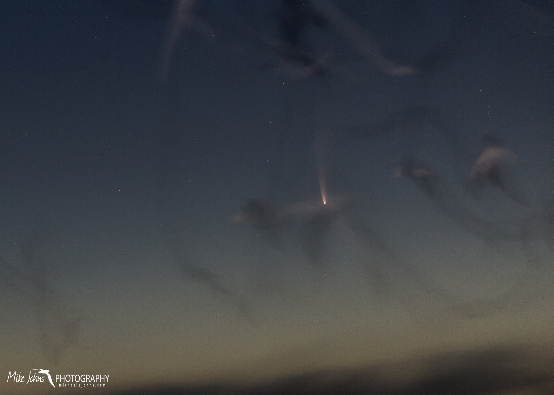  Morning look at the comet NEOWISE from atop Lighthouse Hill, with gull comets streaking by. 