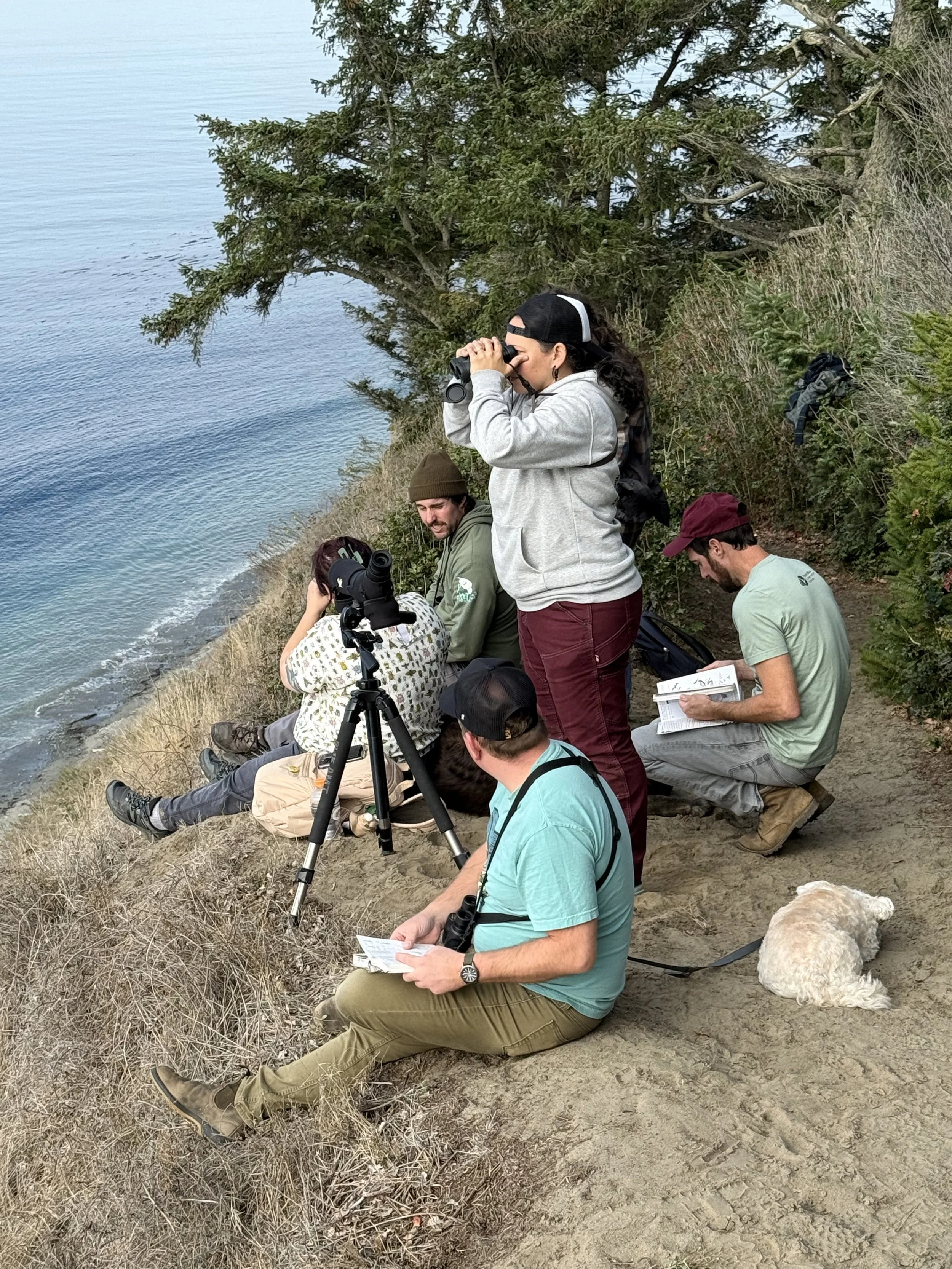 47th Annual Rich Stallcup Bird-A-Thon