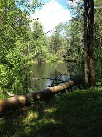 Along the trails