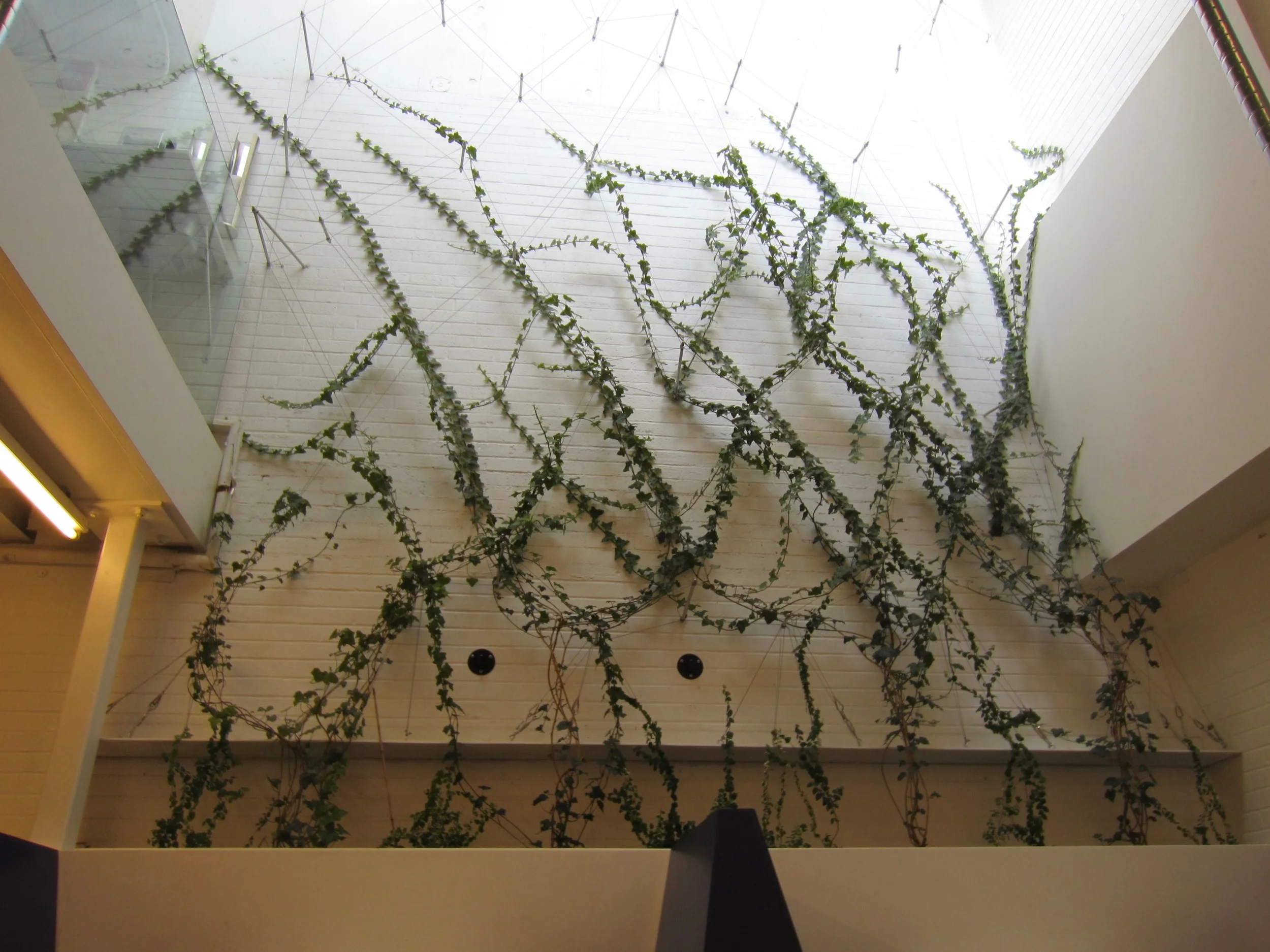 Recover-Green-Roofs-Green-Wall-Clover-Harvard-1