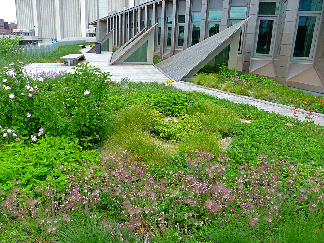p1080092.jpg