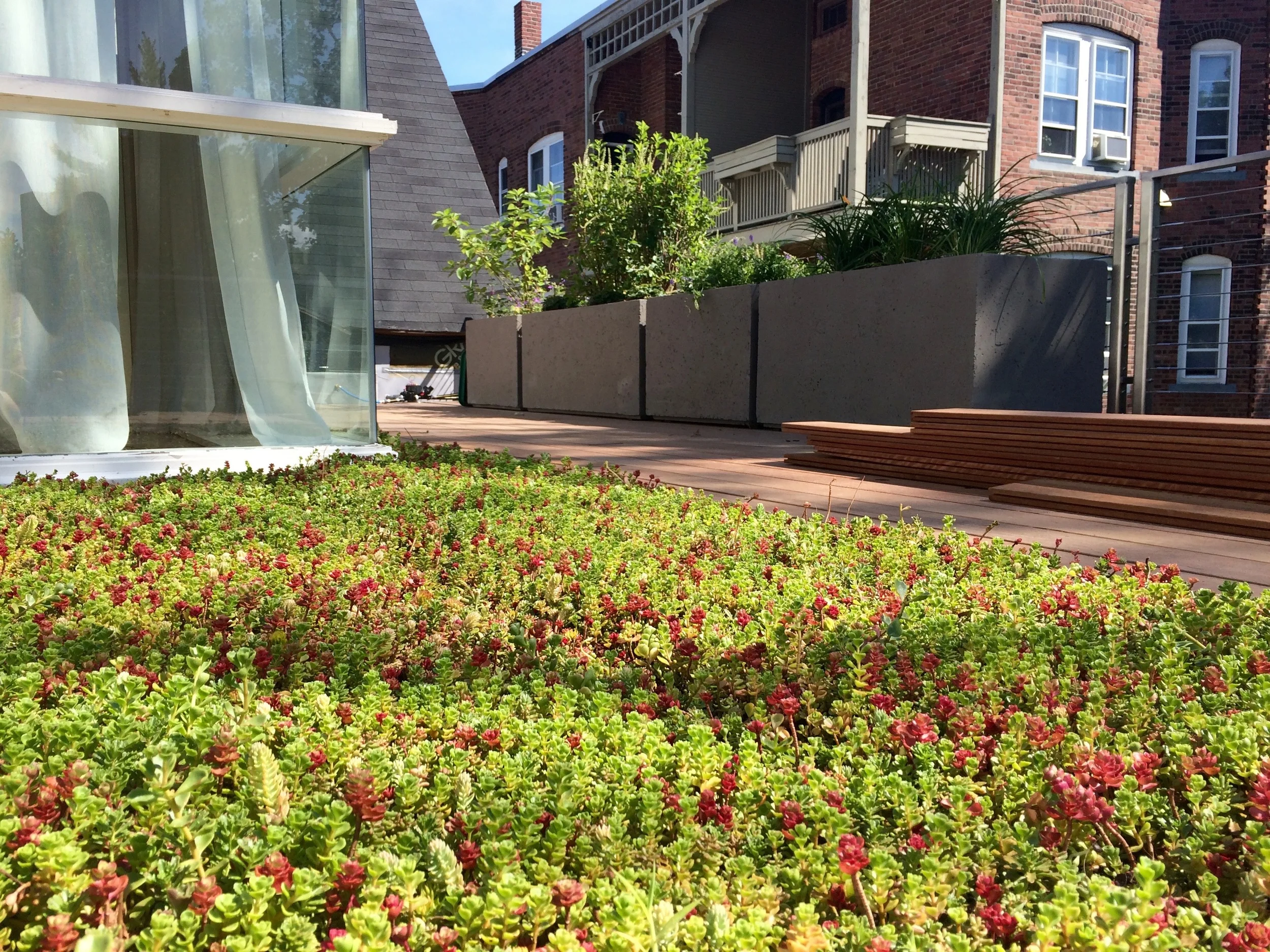 Residential Projects — Recover Green Roofs