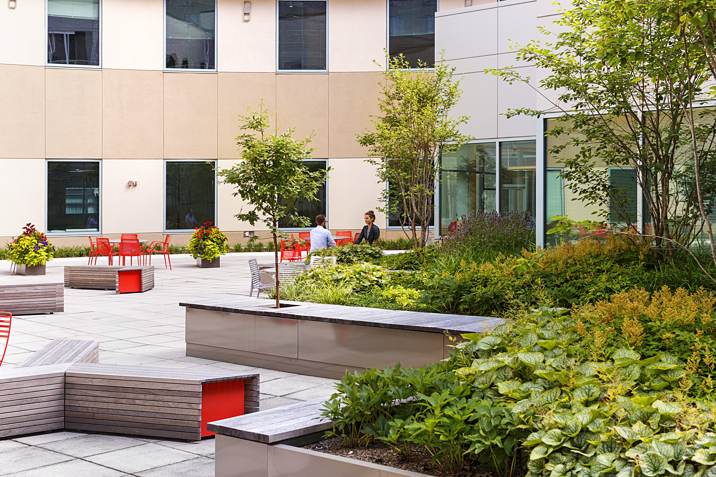 Recover-Green-Roofs-0029.jpg