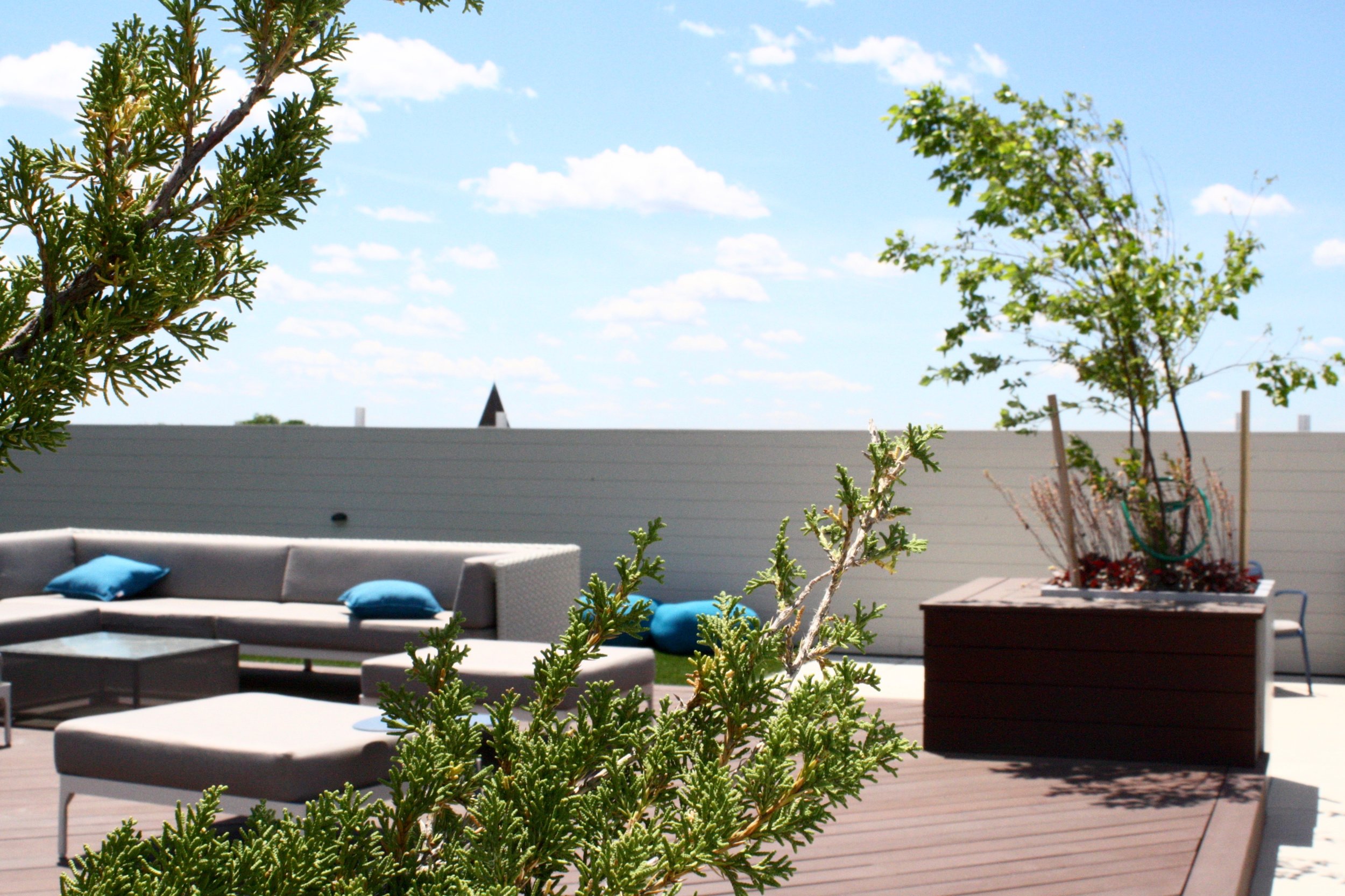 recover-green-roofs-rooftop-patio-east-boston-2015-29.jpg