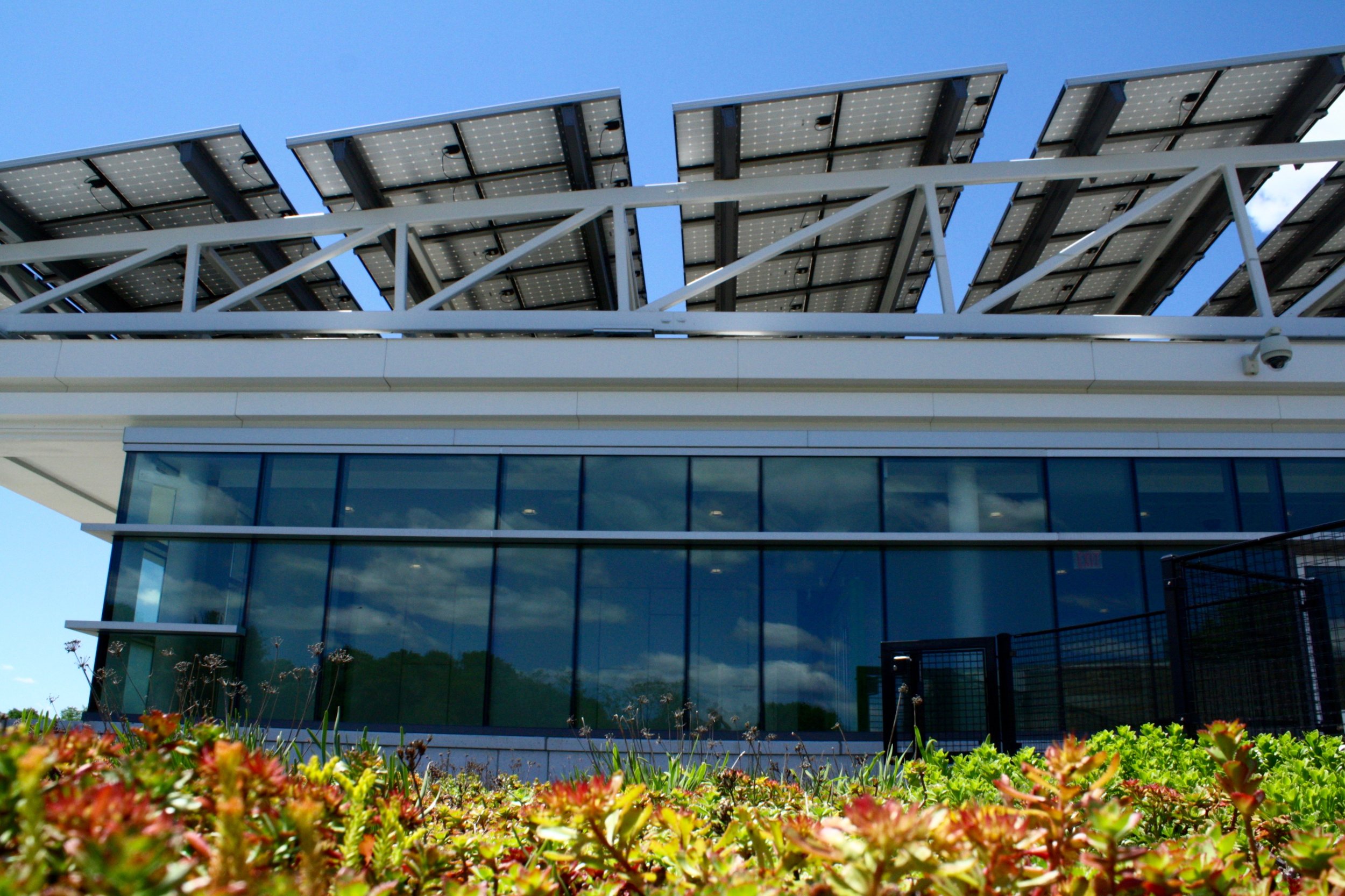 recover-green-roofs-north-shore-cc-2014-3.jpg
