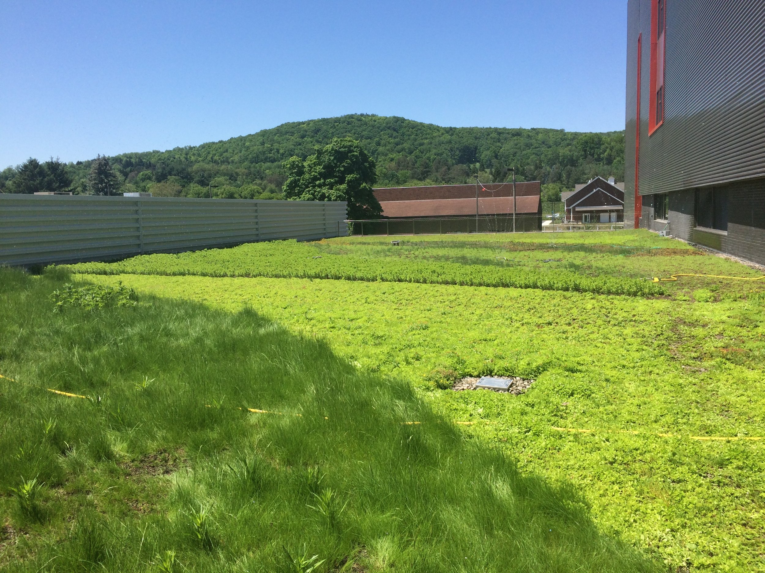 recover-green-roofs-SUNY-cobleskill-2014-22.jpg