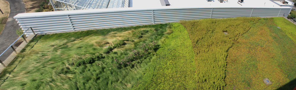 recover-green-roofs-SUNY-cobleskill-2014-2.jpg