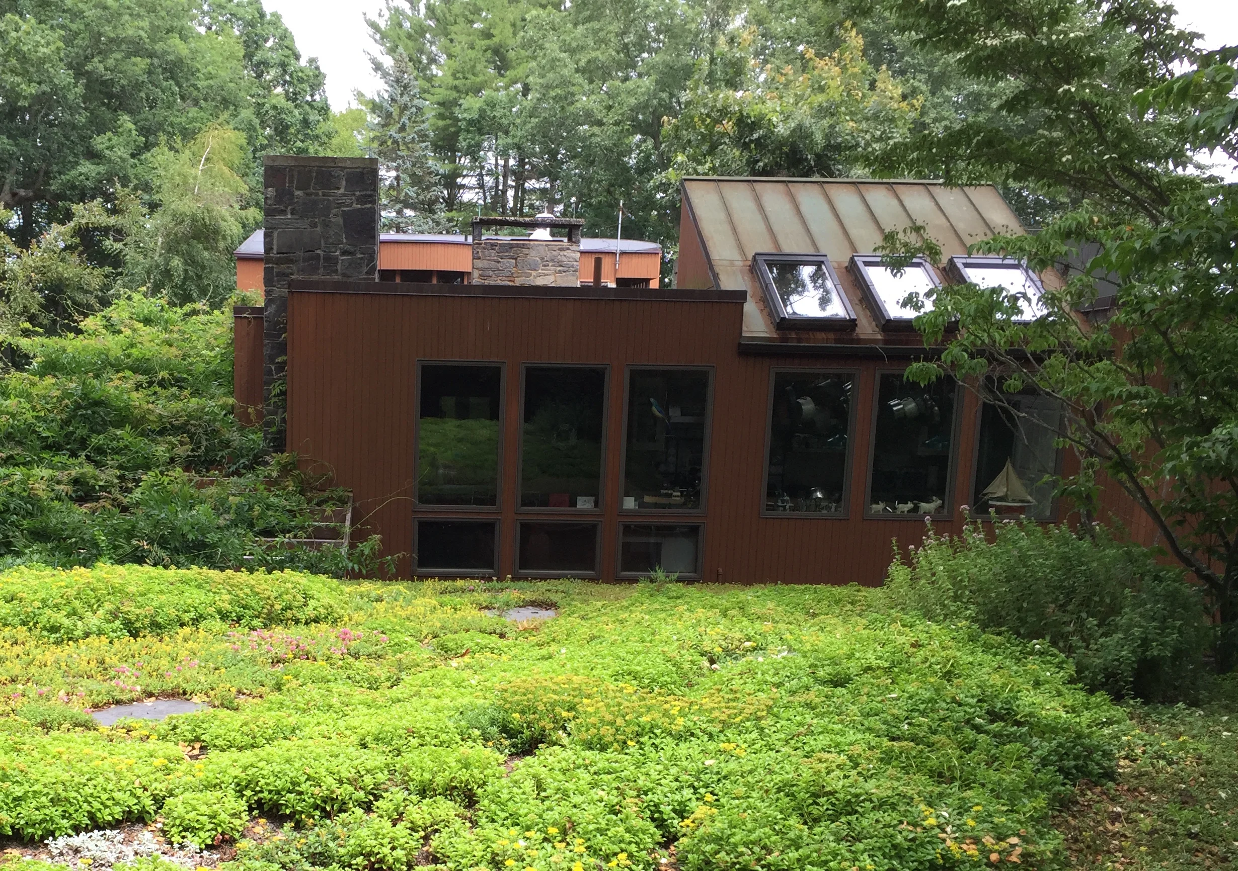 recover-green-roofs-turtle-bay-2016-19.jpg