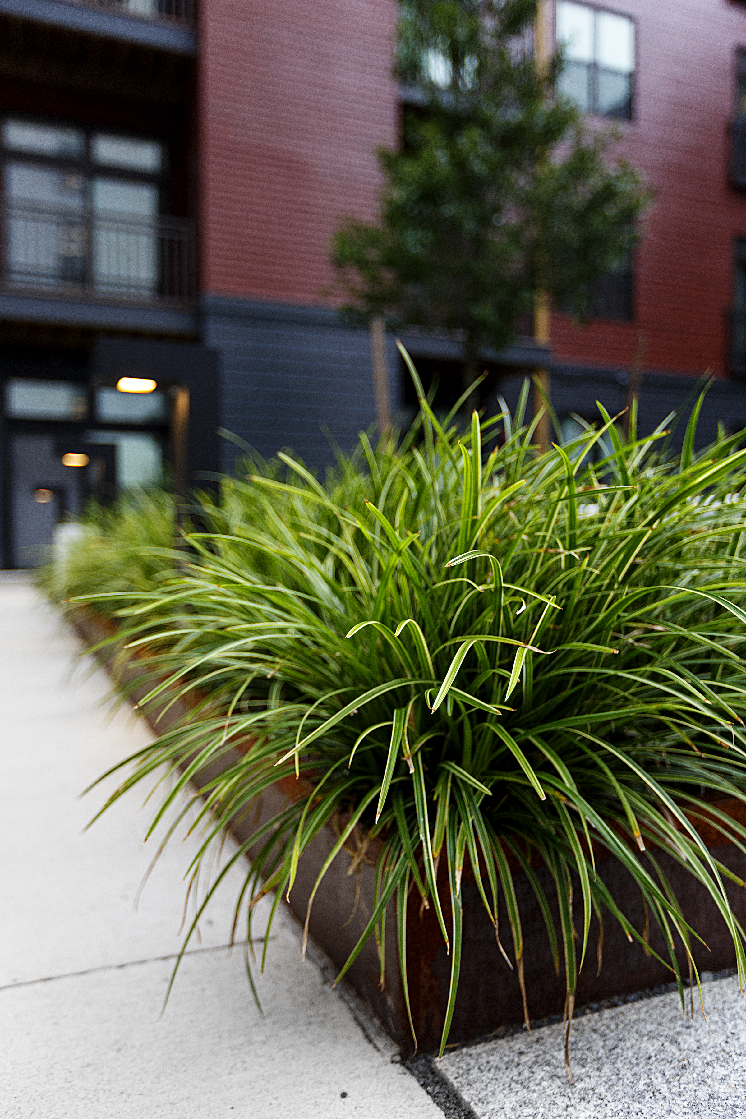 recover-green-roofs-patrick-rogers-photography-montaje-courtyard-skydeck-11-2018-4.jpg