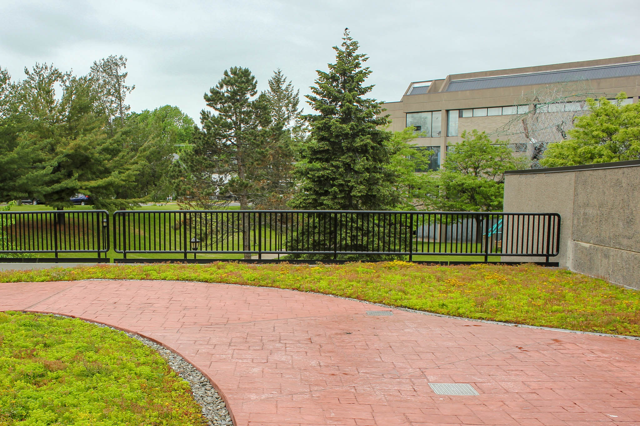 Recover_SUNY_Plattsburgh_revitilization_01_2019--4.jpg