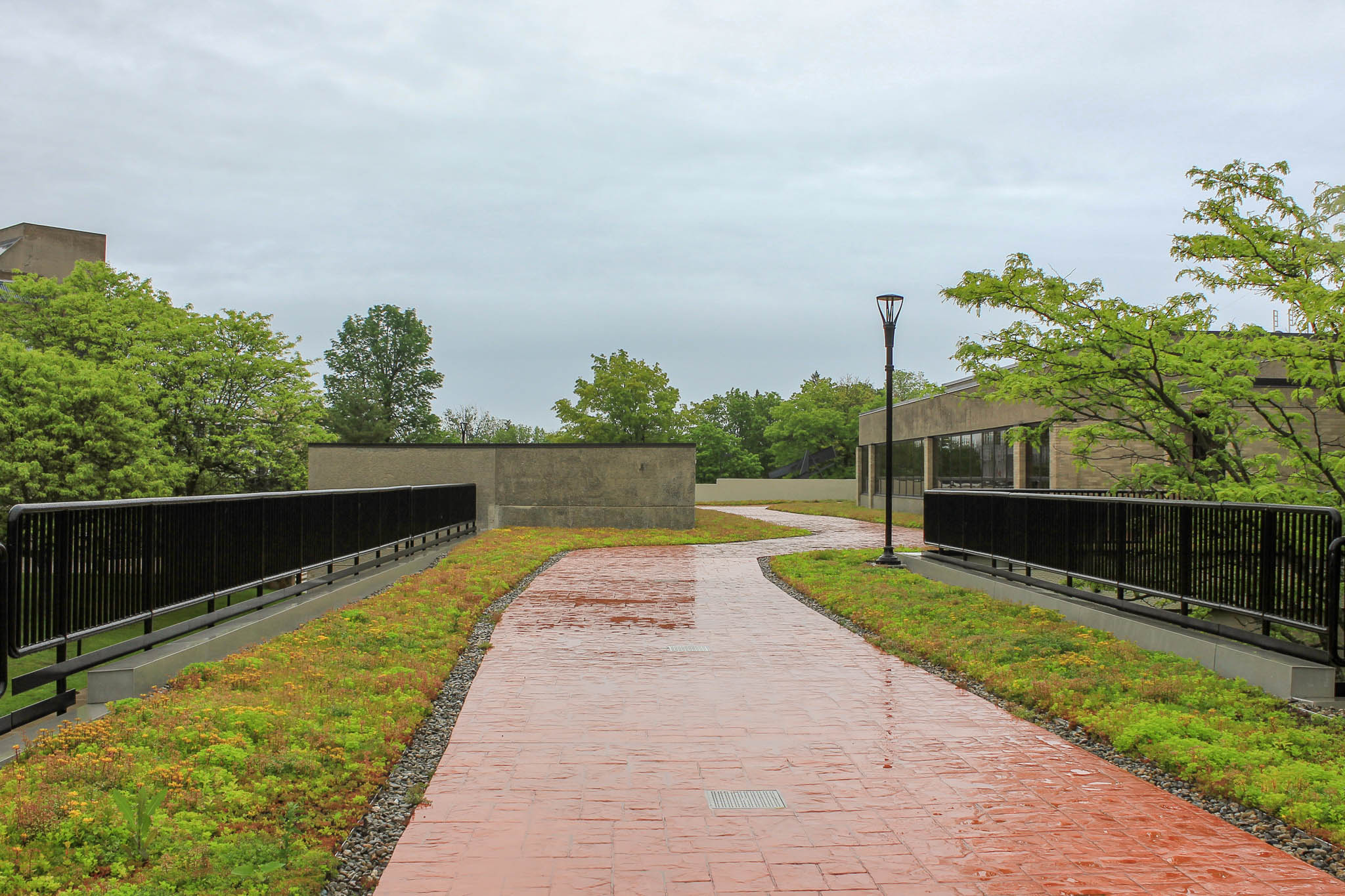 Recover_SUNY_Plattsburgh_revitilization_01_2019--6.jpg