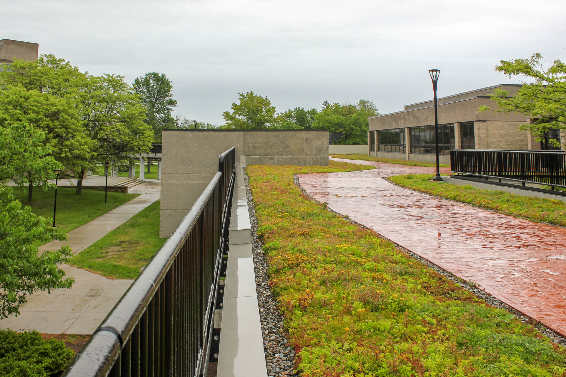 Recover_SUNY_Plattsburgh_revitilization_01_2019--7.jpg