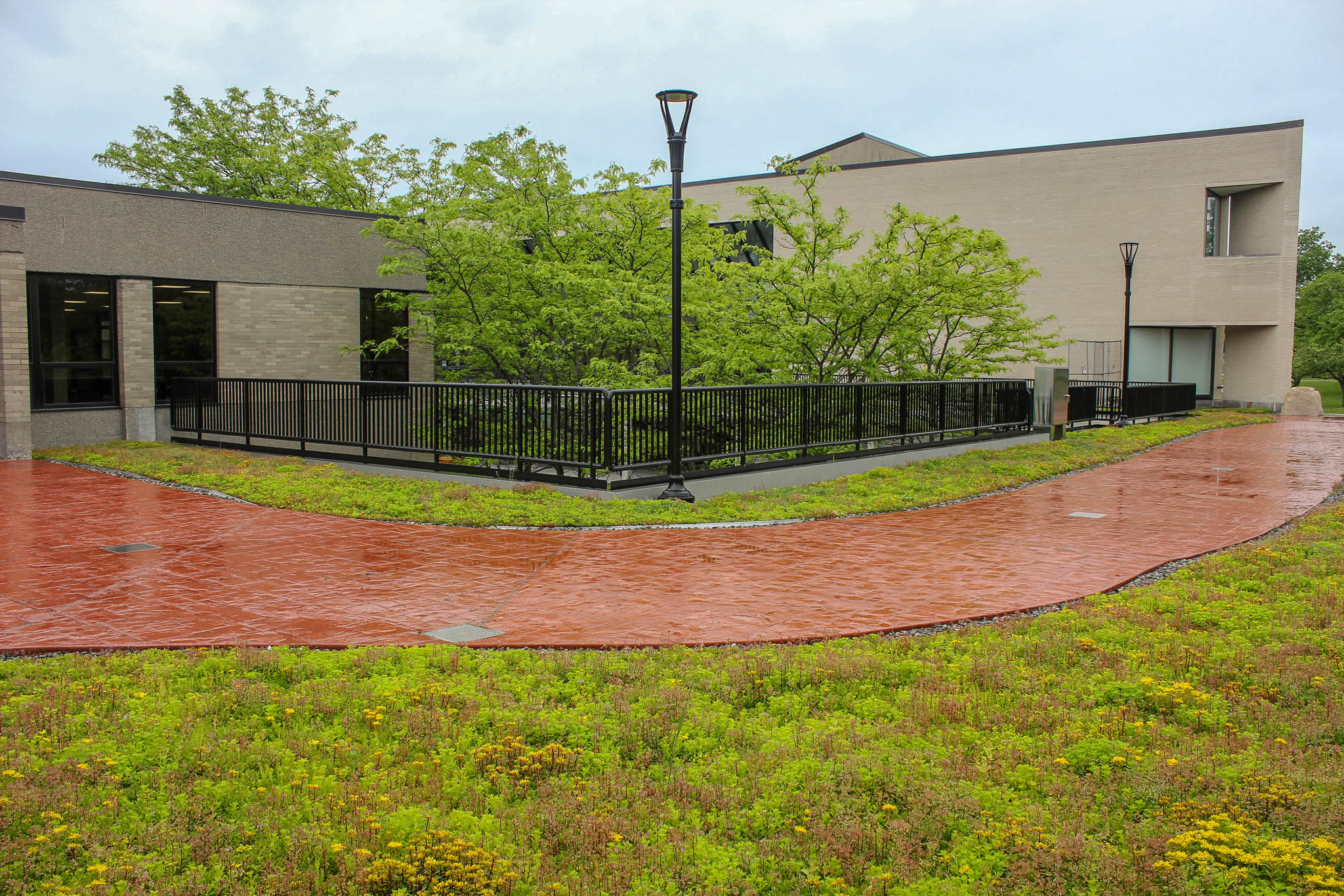 Recover_SUNY_Plattsburgh_revitilization_01_2019--8.jpg