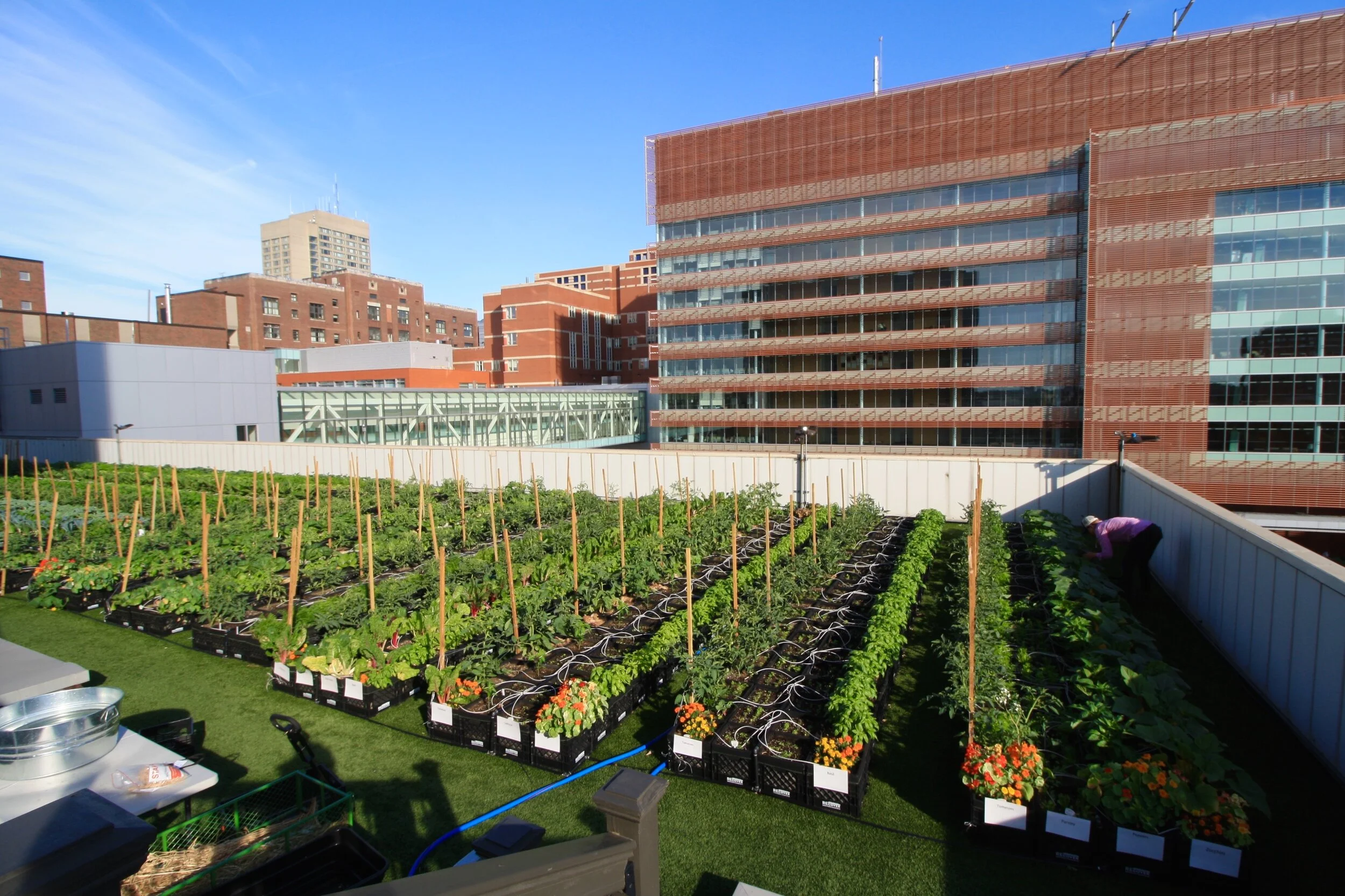 recover green roofs recover green roofs