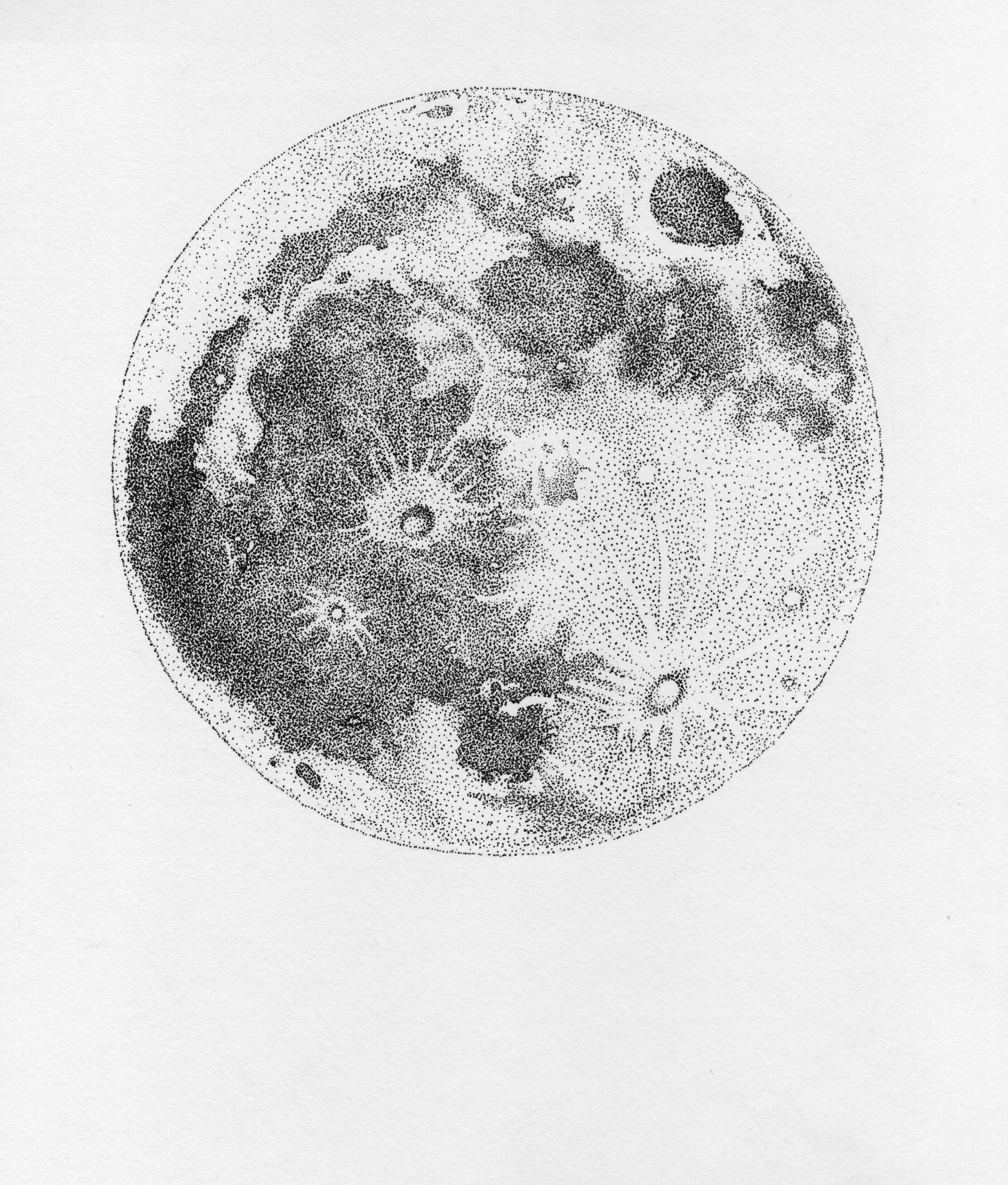 LUNA(flat50%).jpg