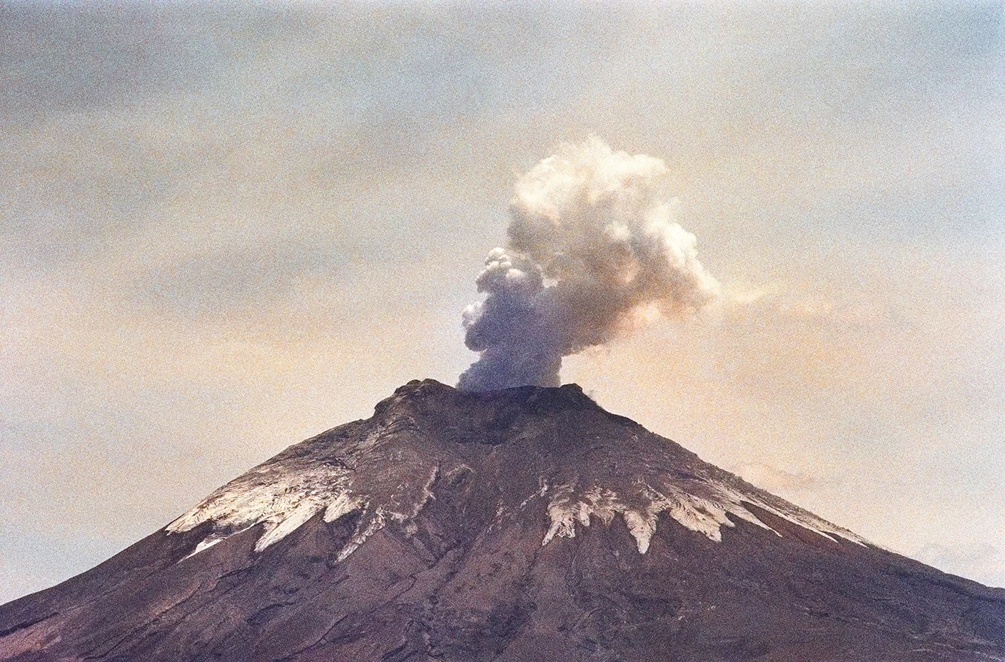 Coto1.jpg