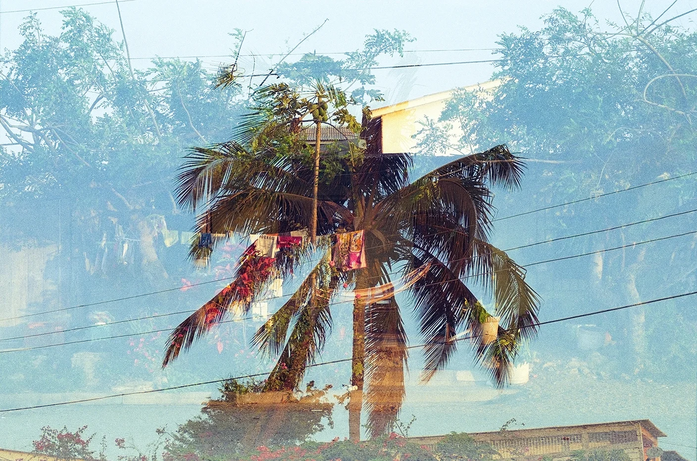Salinas2.jpg