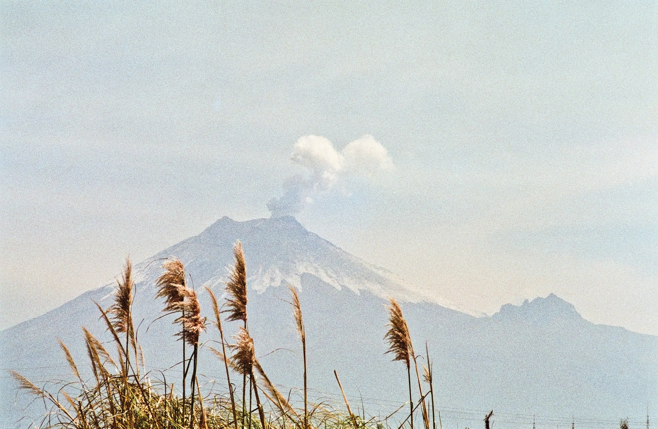 Coto2.jpg