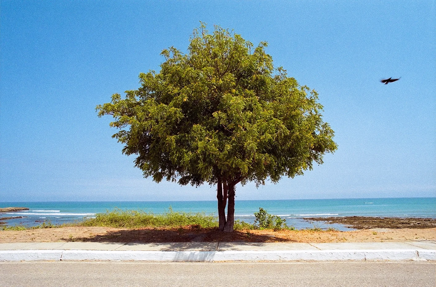 Salinas3.jpg
