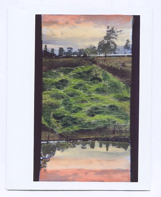 E.D.A_instax_.jpg