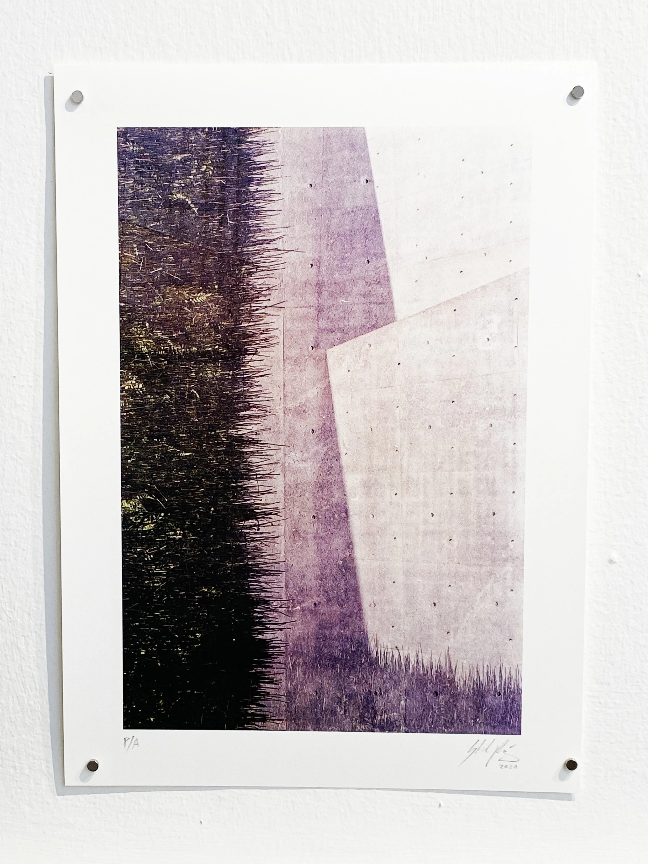 image00004.jpeg