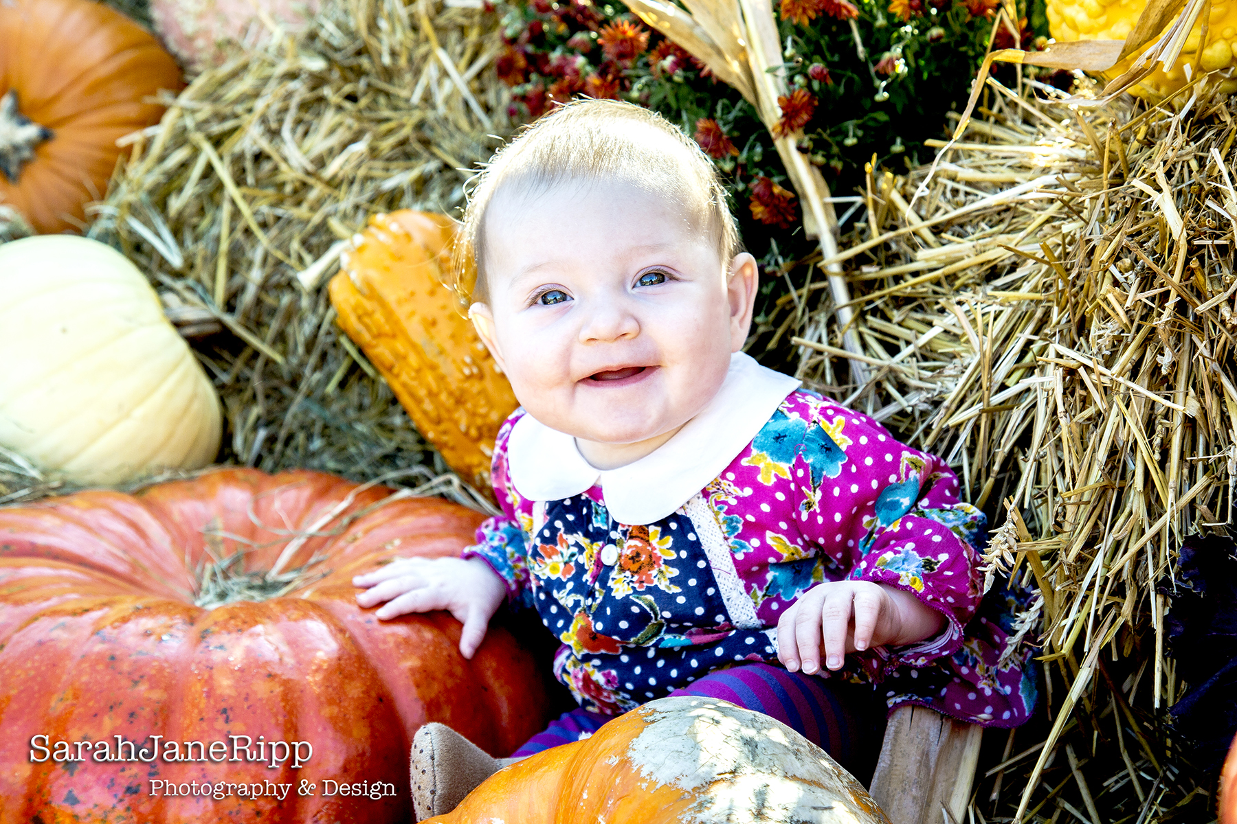 Julia_Pribbenow-7mo_01-2.jpg