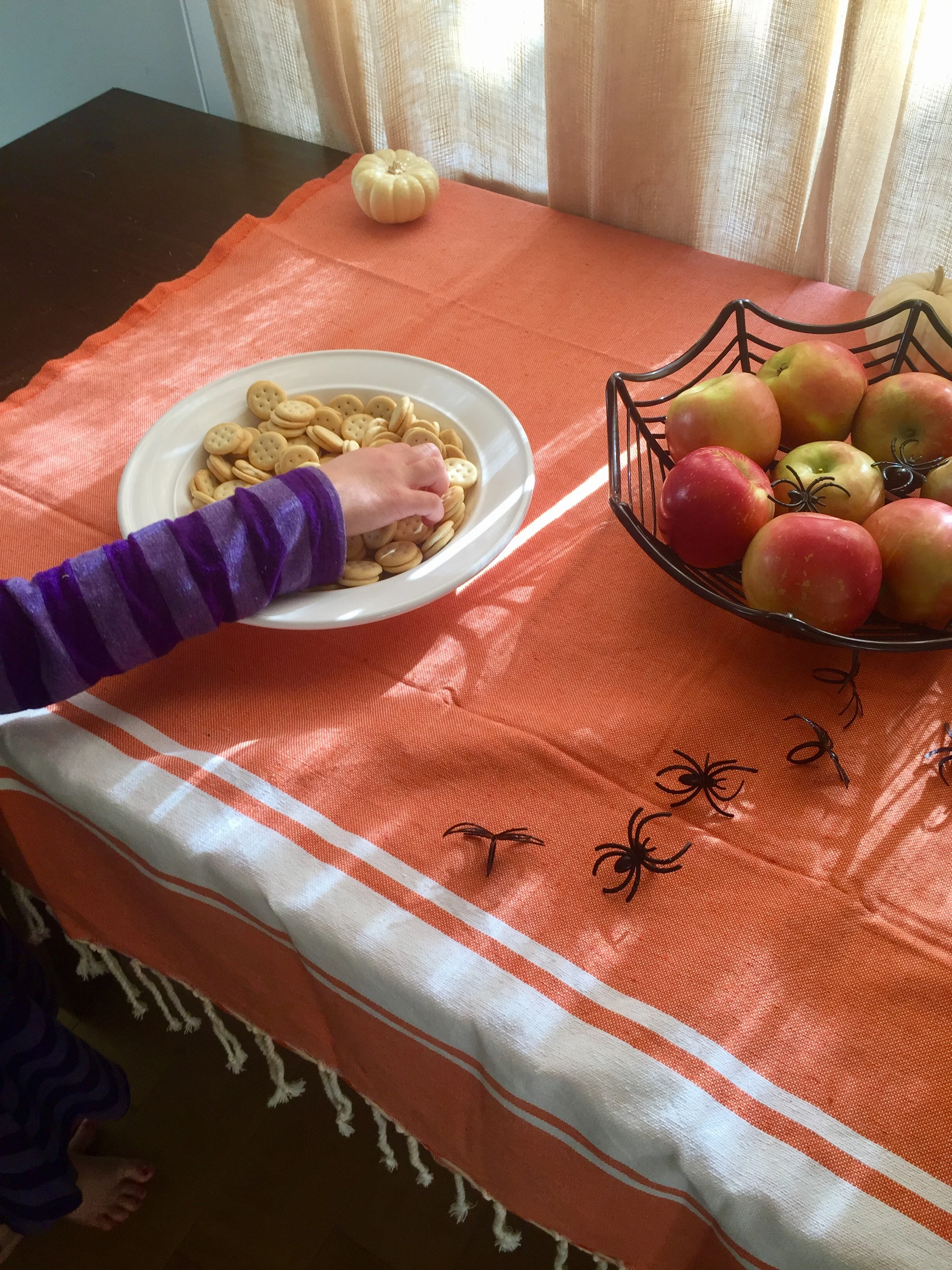 File Jan 30, 3 50 06 PM (1).jpeg