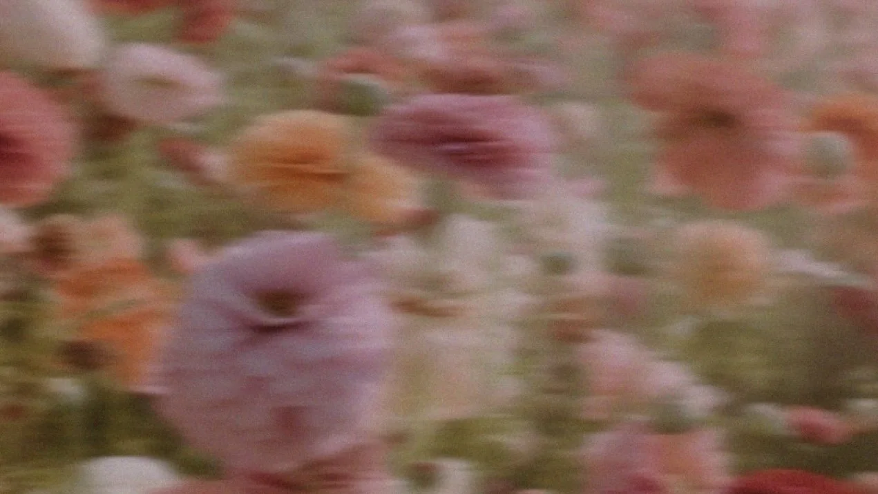 Homestead Landing Pages .jpeg