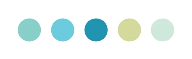 Nal_web_4.jpg