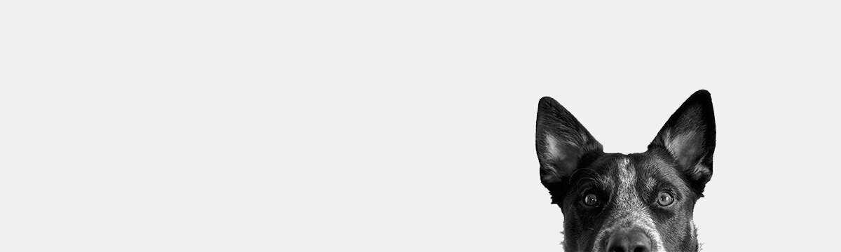 1200x360-IndexThumb.jpg