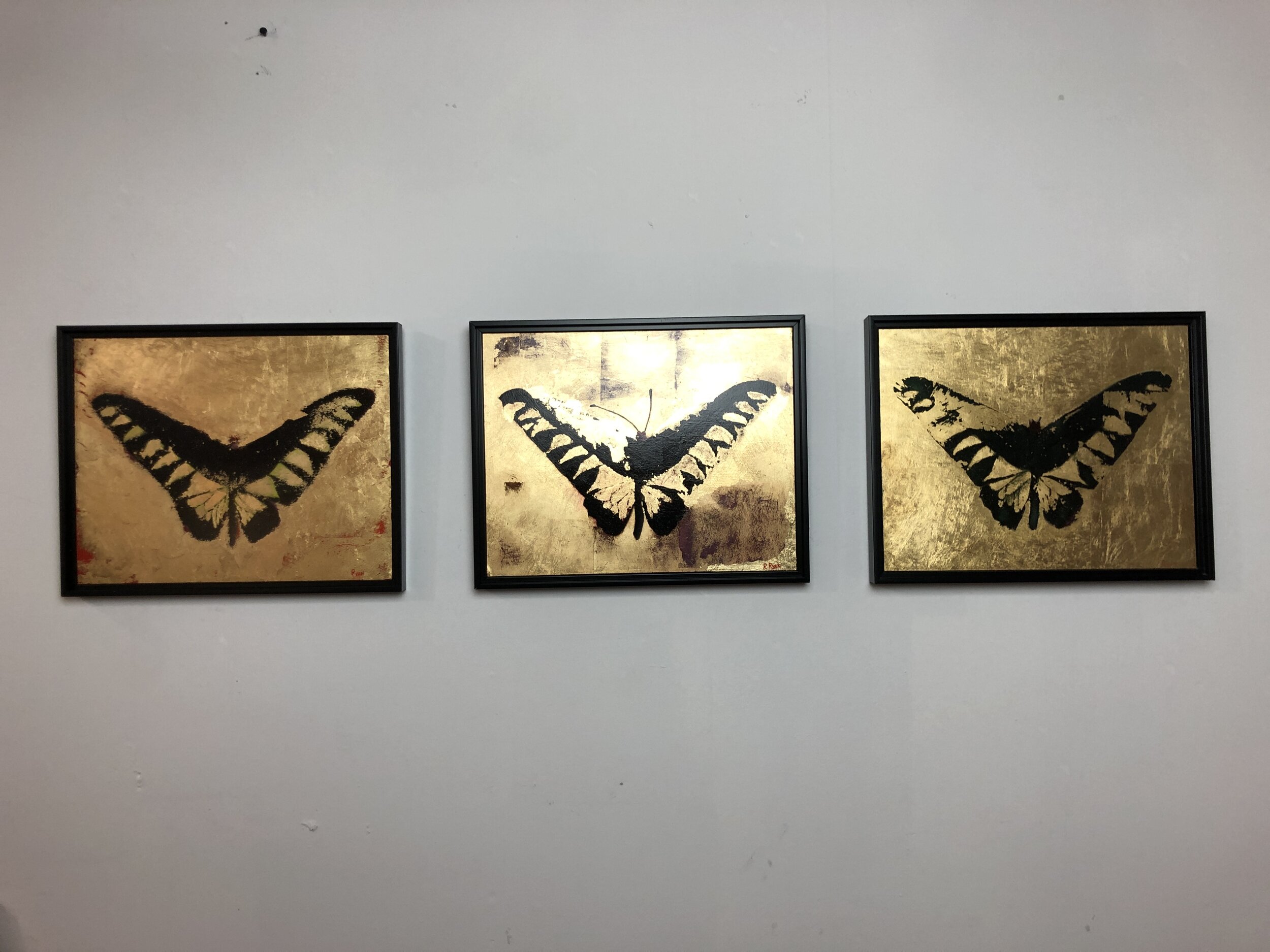 3ADD196C-DF13-4C9C-AC40-8E64BA981621