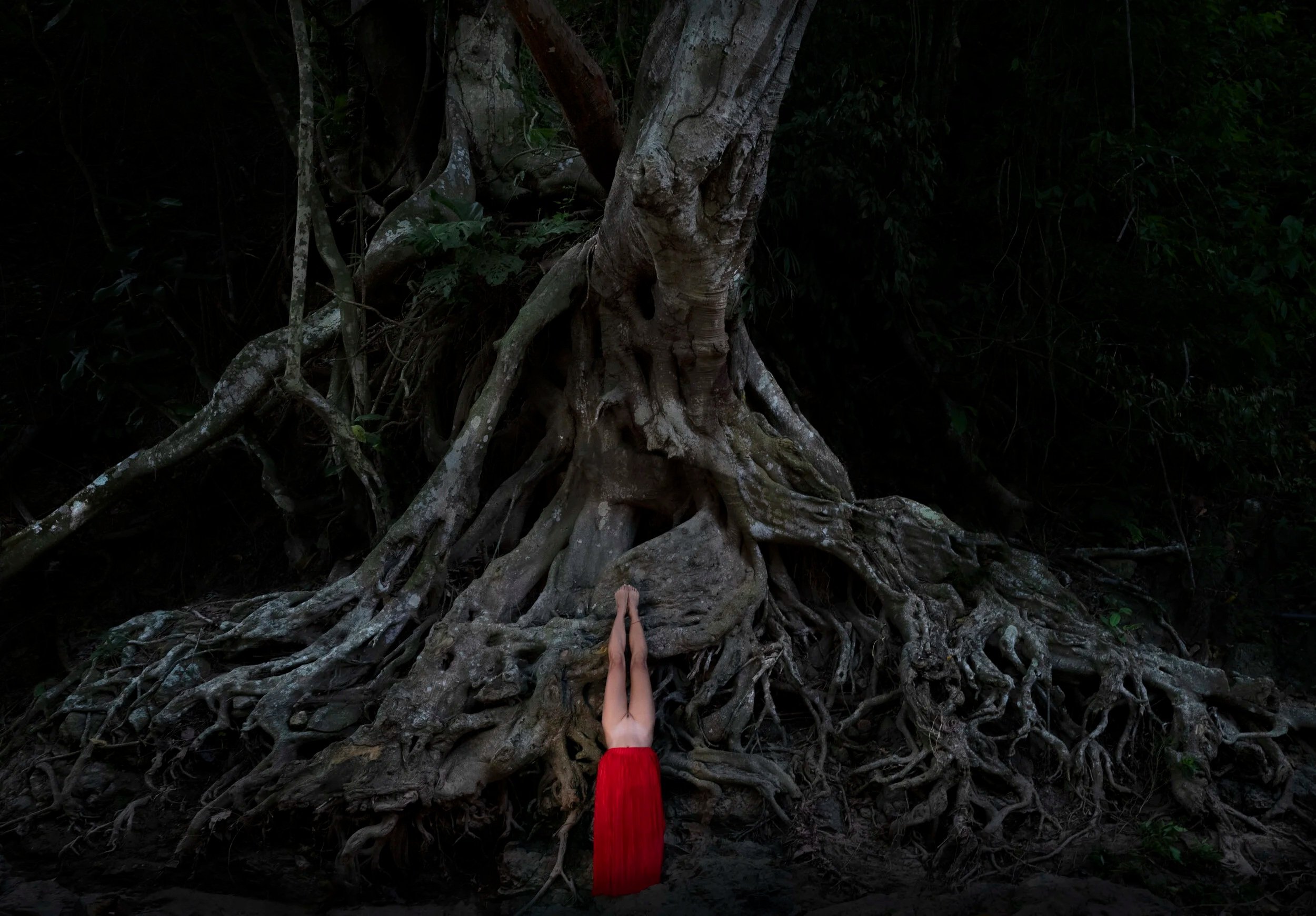 Red+dress+and+giant+tree.jpg