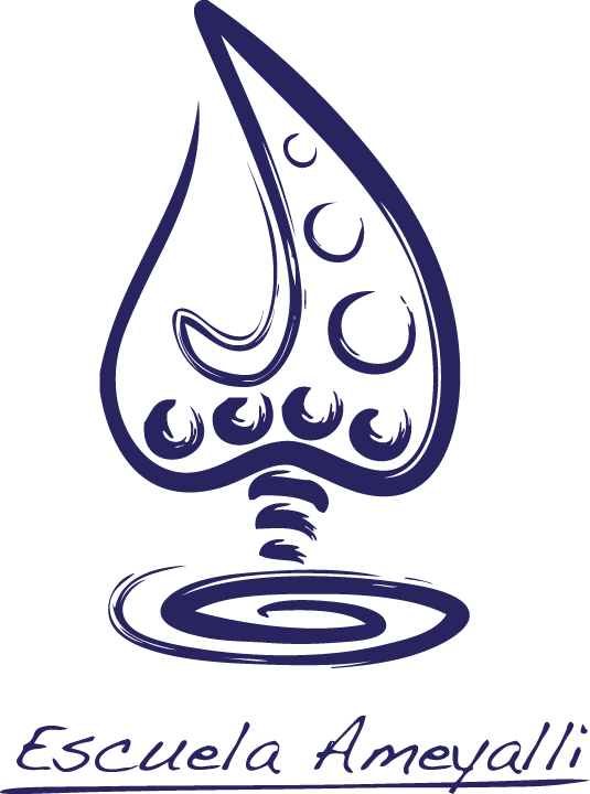 Logotipo Escuela Ameyalli.png