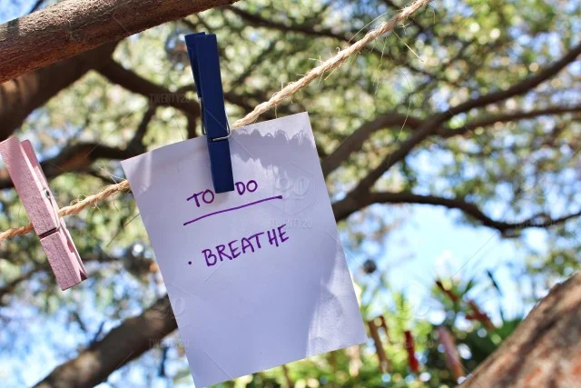 stock-photo-nature-tree-hanging-tranquility-text-sunshine-relax-words-note-f3047617-ed90-439c-b81f-1a431854c3b3.jpg