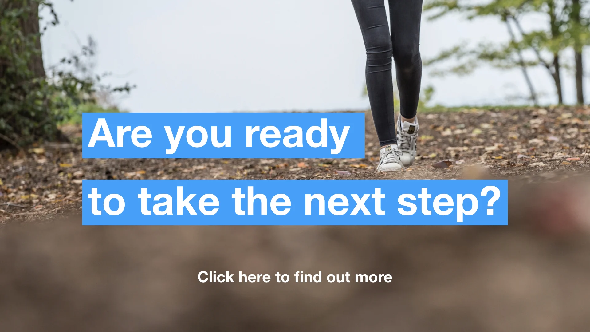 Next Steps - more.jpeg