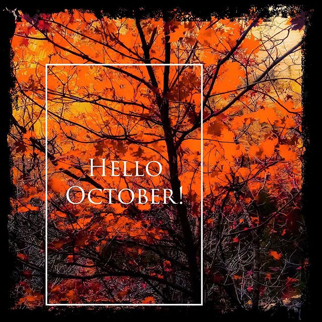 Hello October!! Great to see you again!! #october #socal #fall