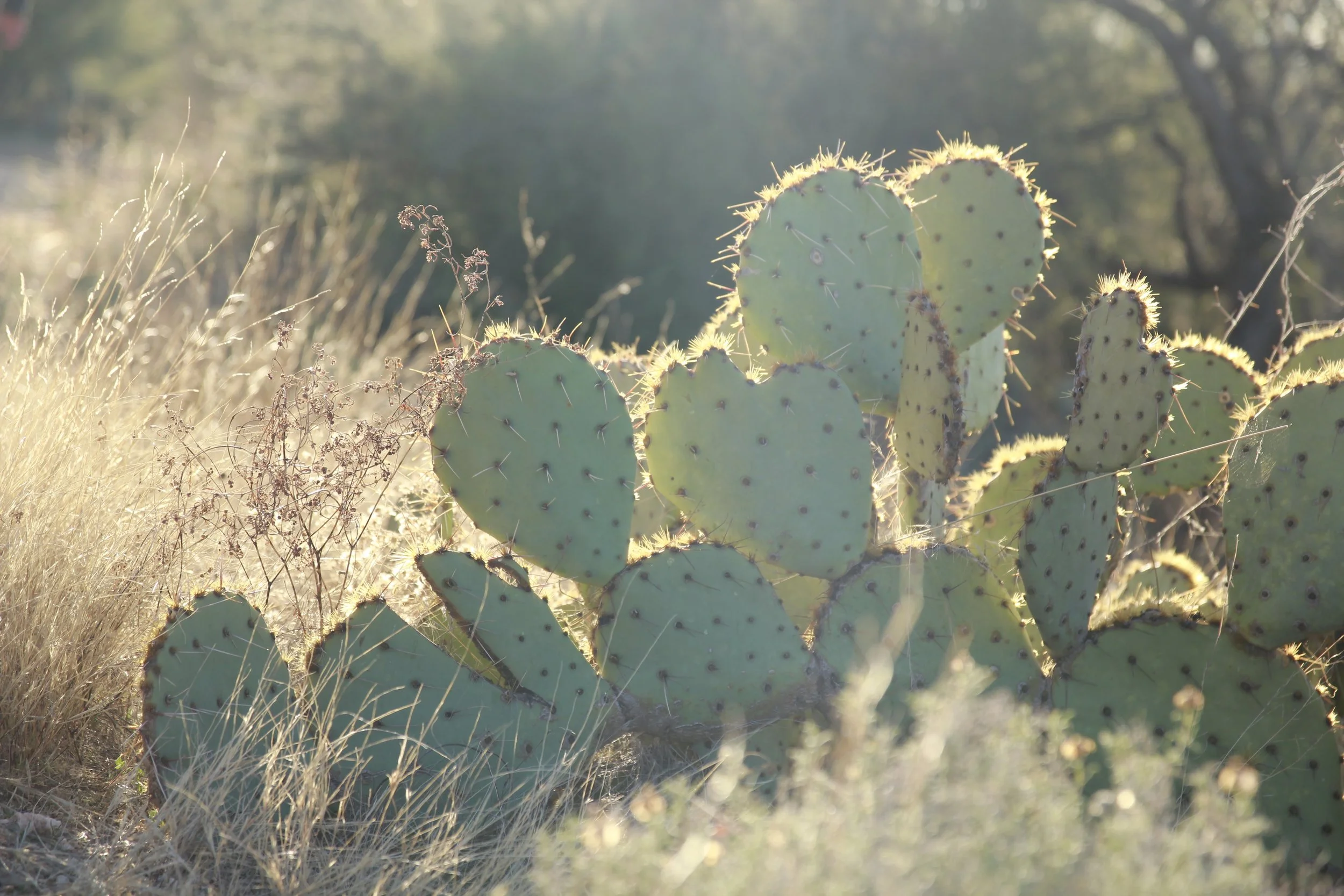 New Years Eve Hike 2015 - 89 of 109.jpg