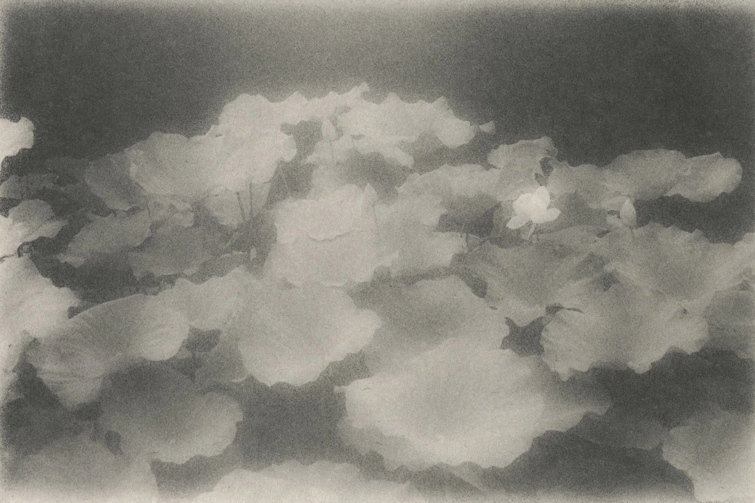 DT_Japan_fpp_Nara_Lilies_02_v2_cr.jpg