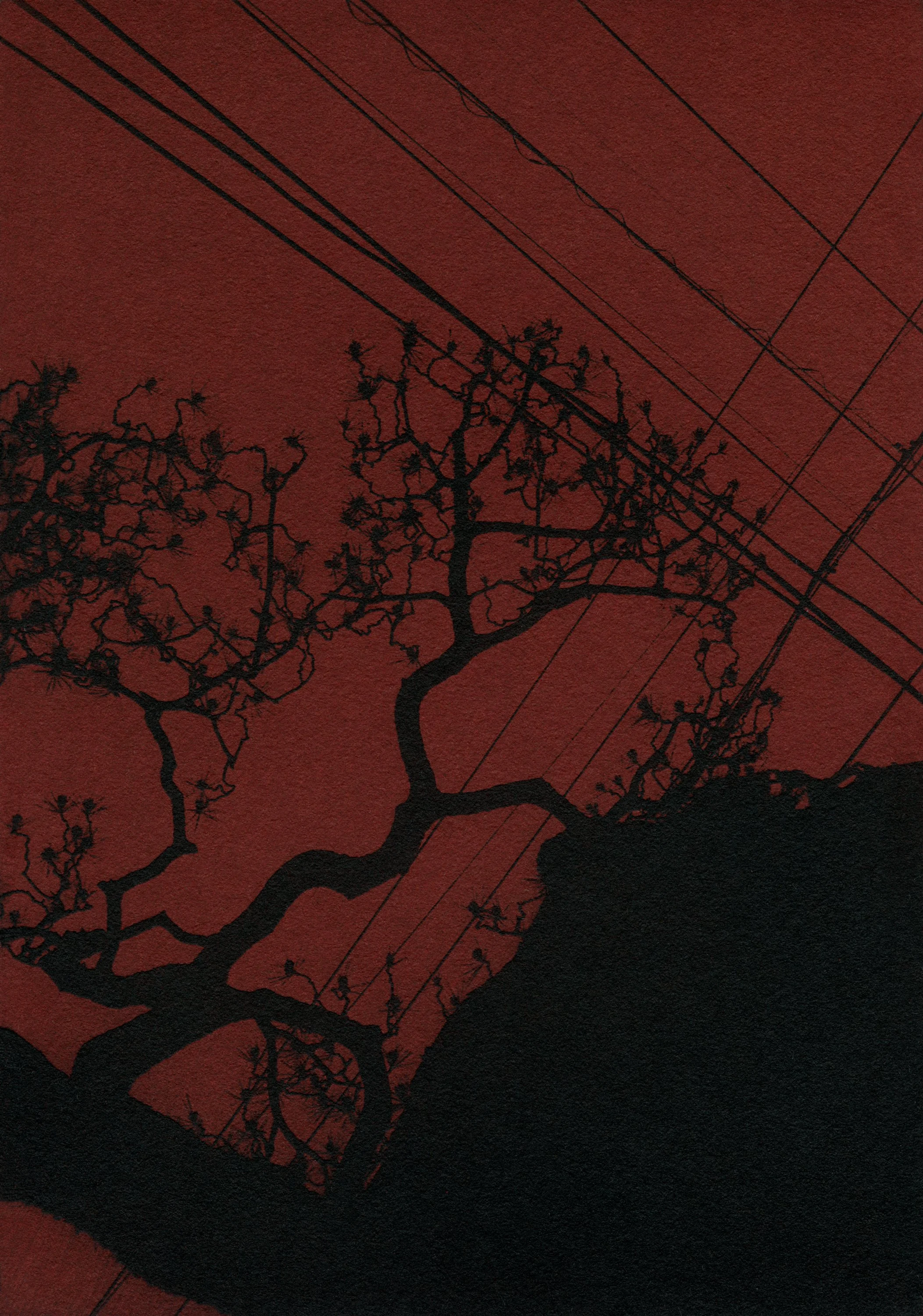 DT_PP_CC_Japan_Tree_Wires_Red.jpg