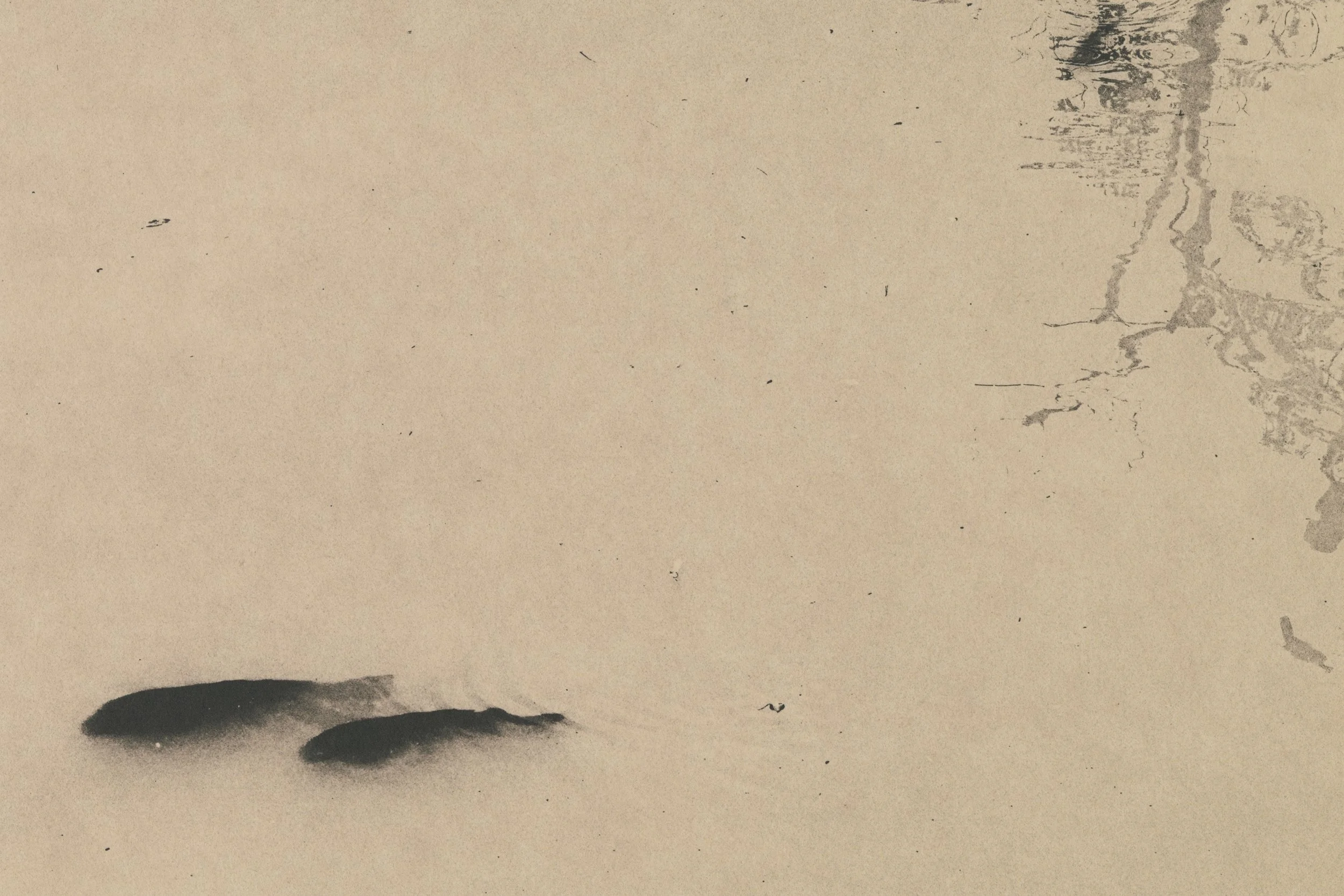 DT_Kyoto_Koi_crop_32.jpg