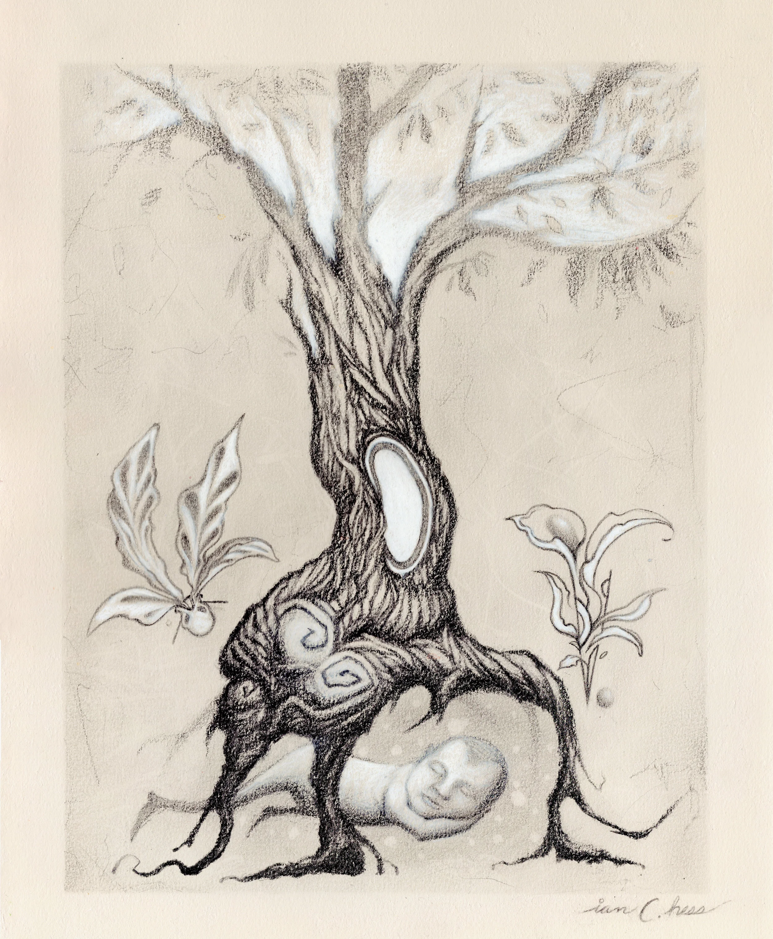 Ian C. Hess Life and Death Edward Munch Commission Charcoal and Pencil on Paper 11in. x 14in. SOLD ($220) 2017.jpg