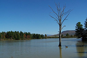 Dead Creek - Cathy Merrill, Vermont Fish and Wildlife Department